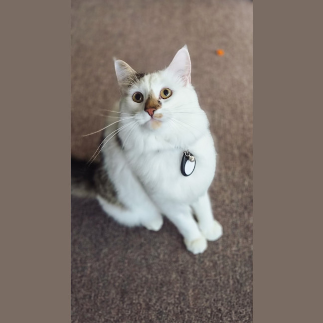 Photo of Julian