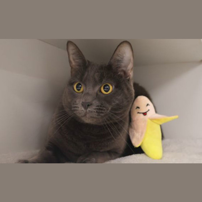 Photo of Lilith