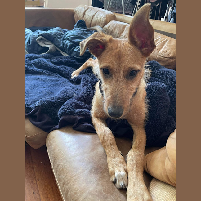 Photo of Reginald