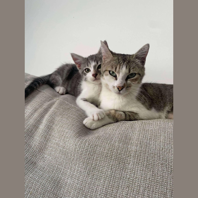 Photo of Penny & Gavin 