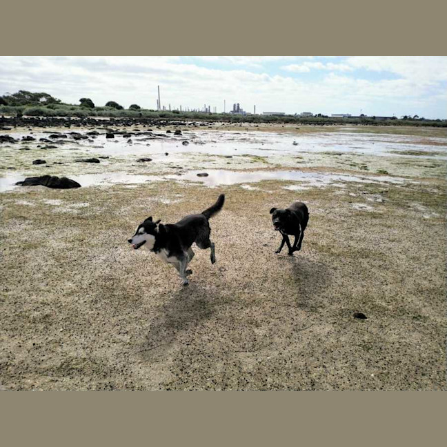 Photo of Captain Chai