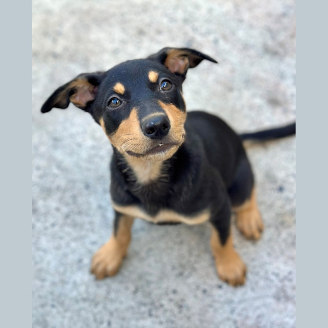 Photo of Dora