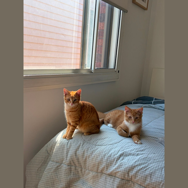 Photo of Flora And Sunny