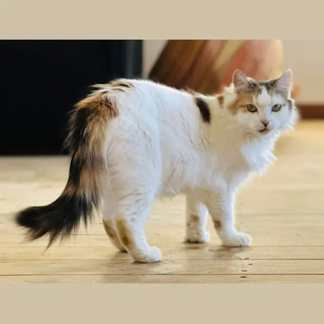 Photo of 💛Cassie💛