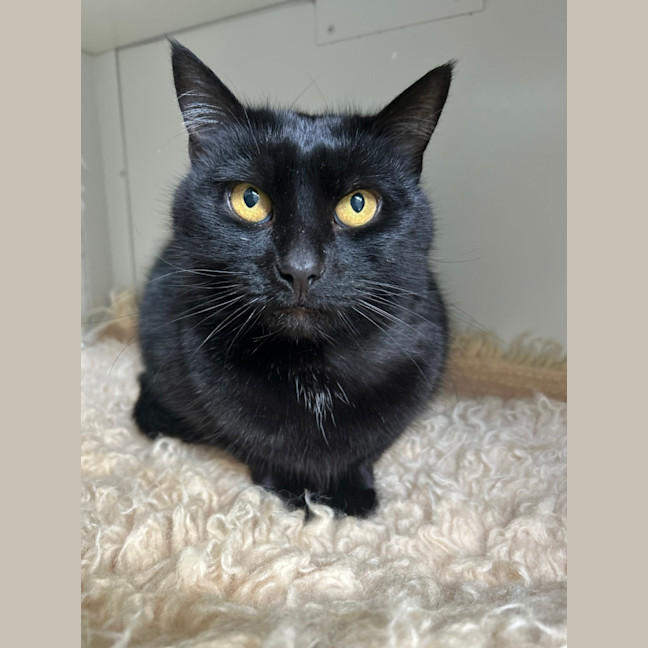 Photo of Molly