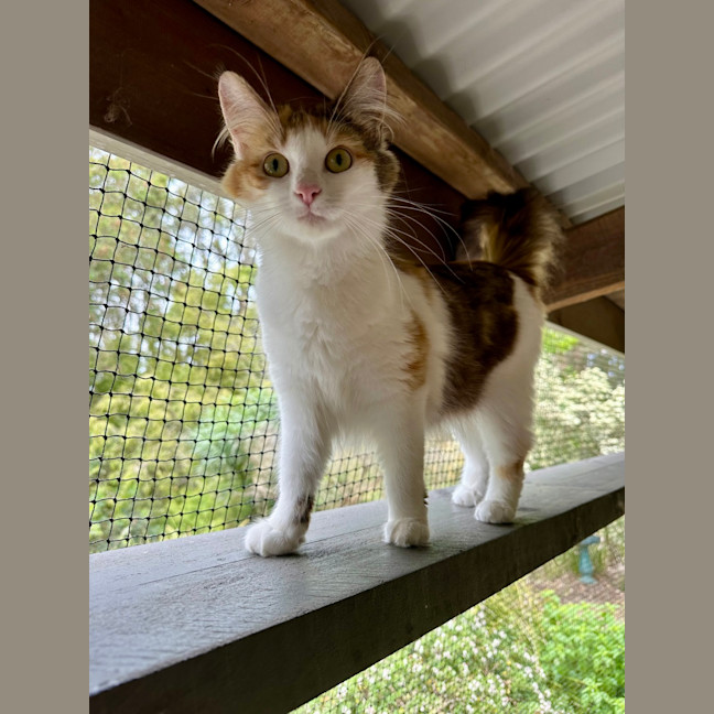 Photo of Christmas Eve 