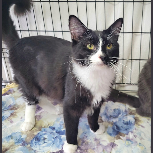 Photo of Jaxson 🖤