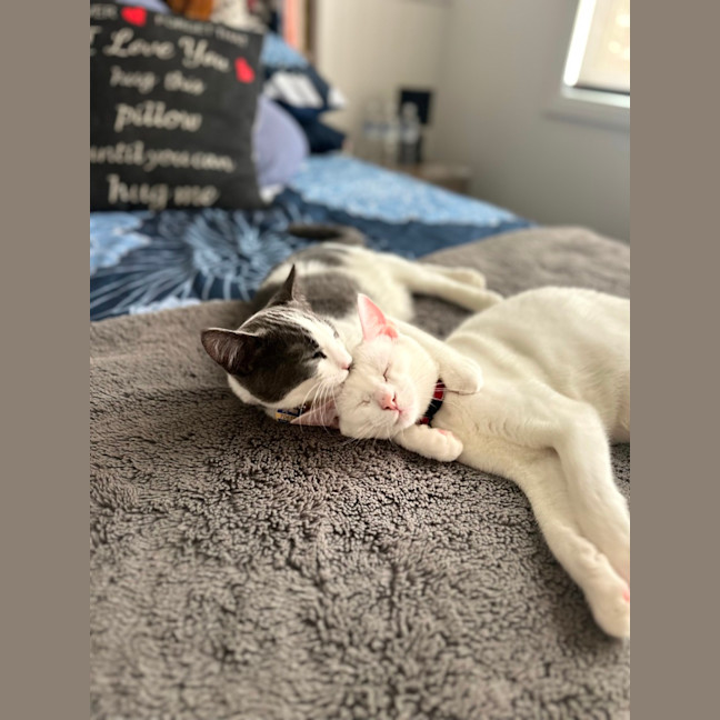 Photo of Casper