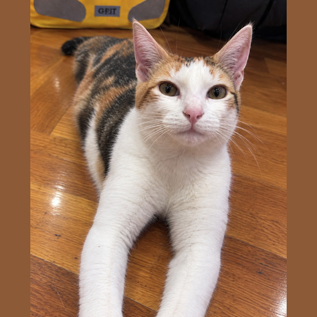 Photo of Pippa