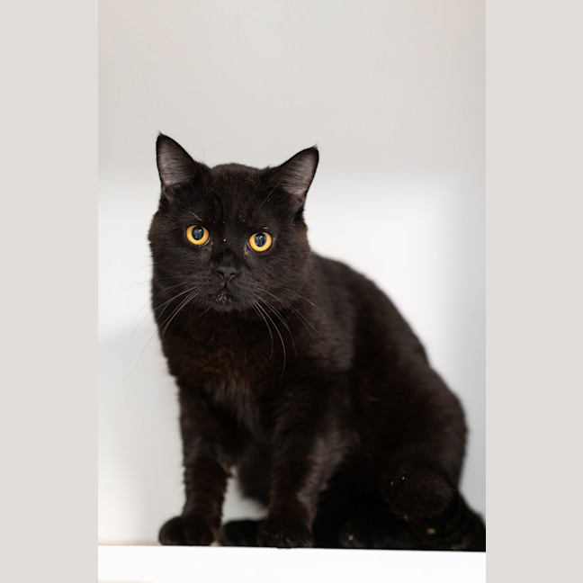 Photo of Moe