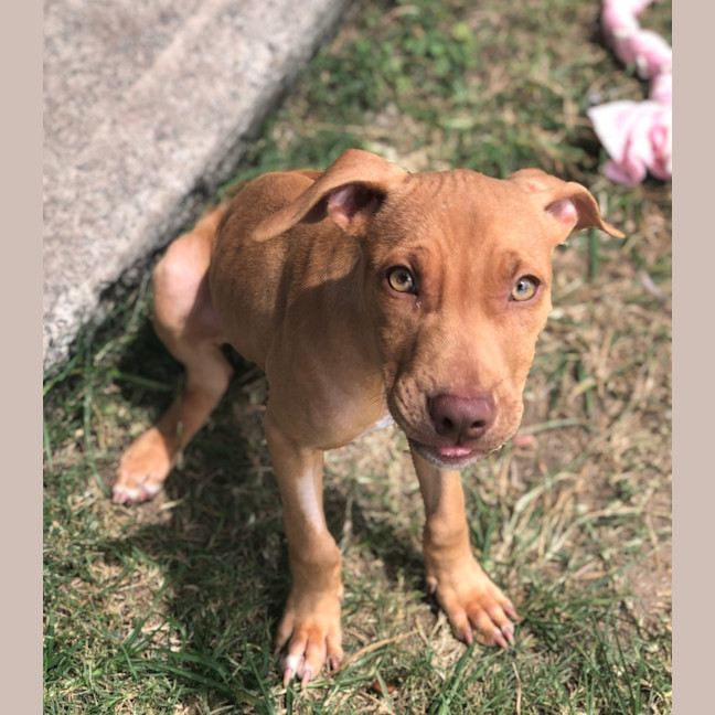 Photo of Lulu