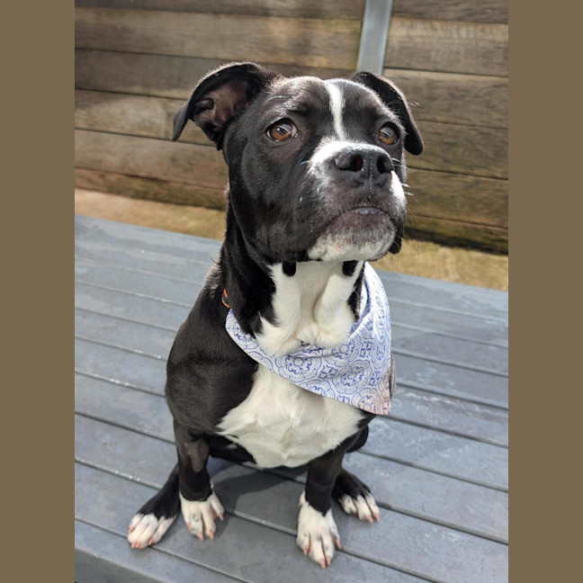 Photo of Rubie  Jane