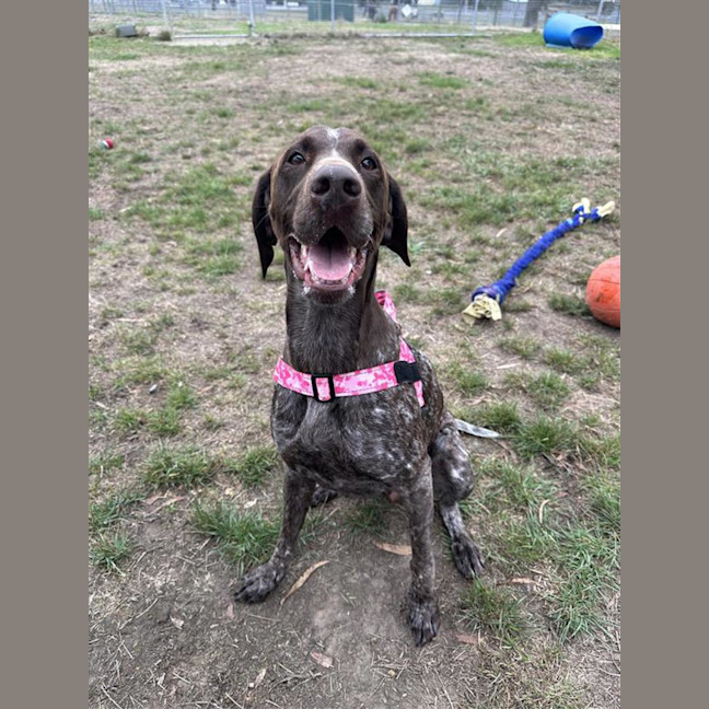 Photo of Nala