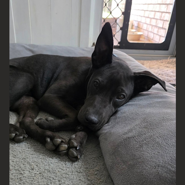 Photo of Zeke
