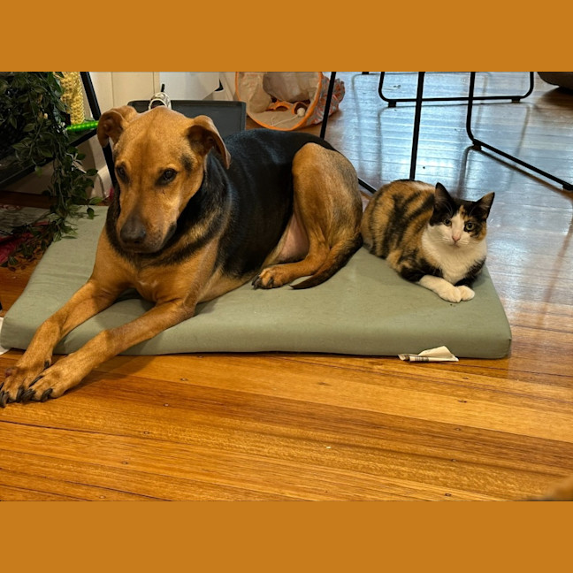 Photo of Maya & Morgan🌻🌼