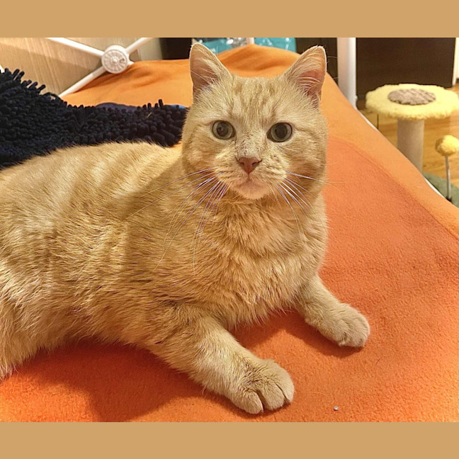 Photo of Thomas