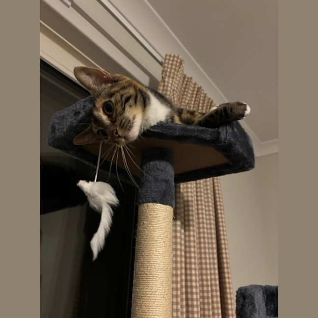 Photo of Luna 
