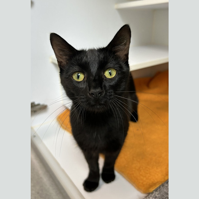 Photo of Jane (Bonded To Daria)