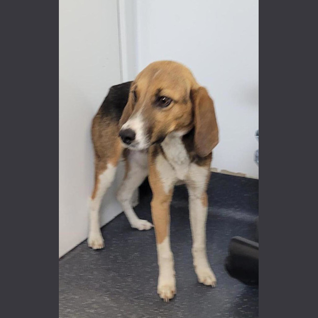 Photo of Phillip J Fry