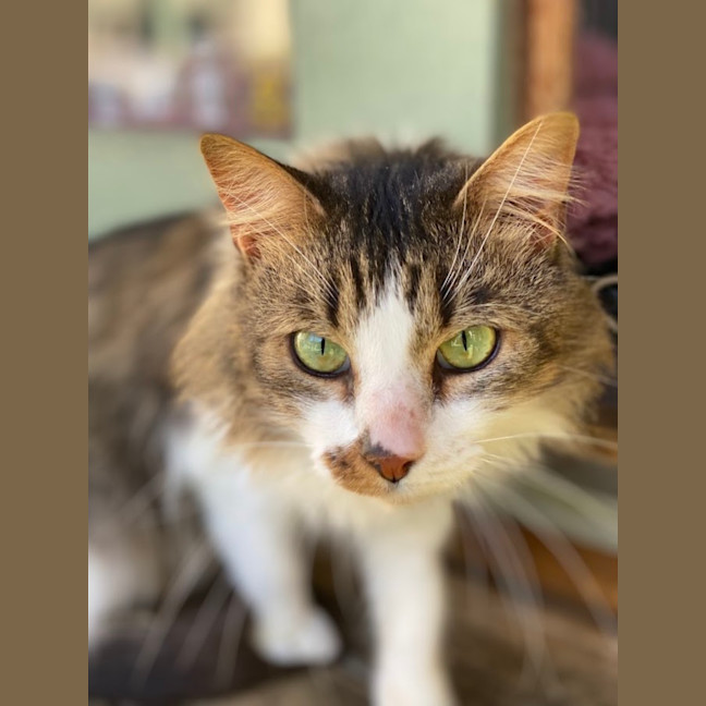 Photo of Mr. Snub