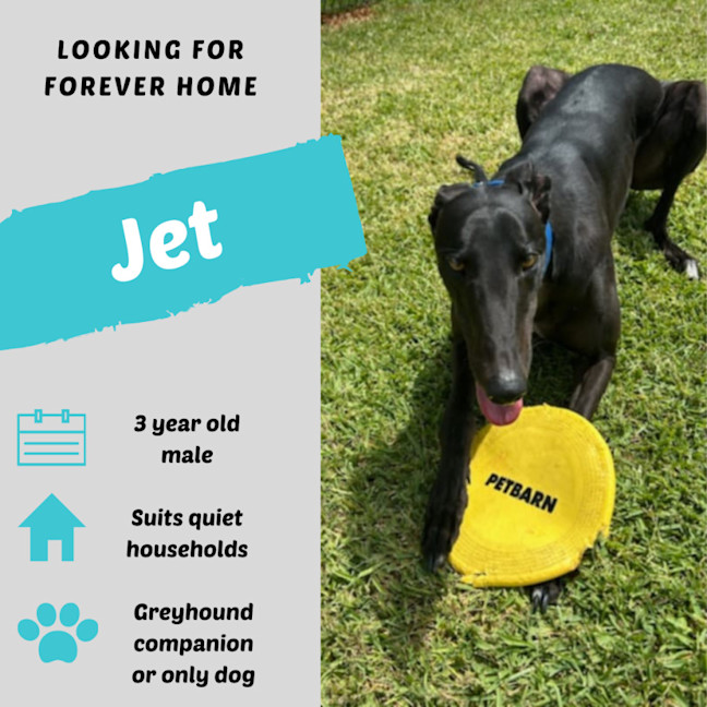 Photo of Jet