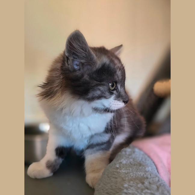 Photo of Hugo