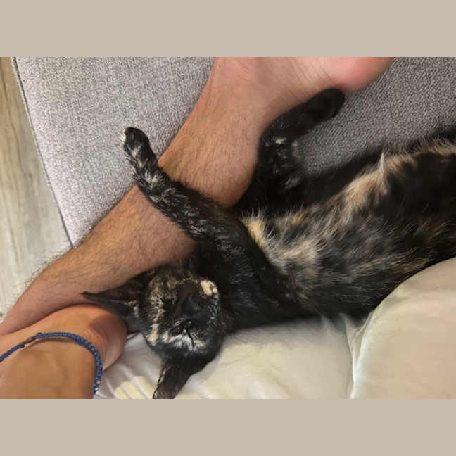 Photo of Blue