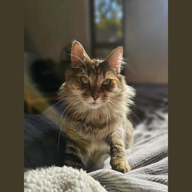 Photo of Babs