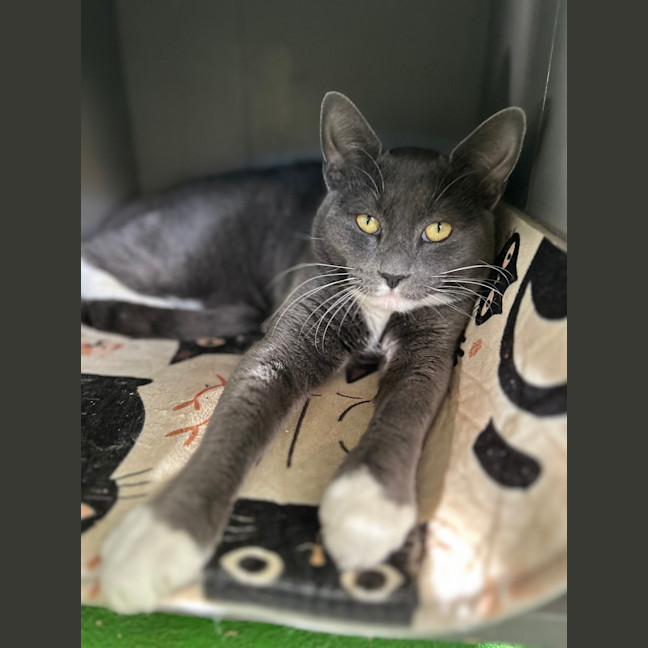 Photo of Spike