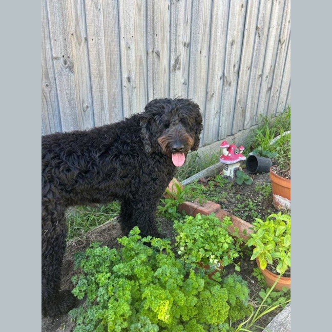 Photo of Bodhi Quinnell