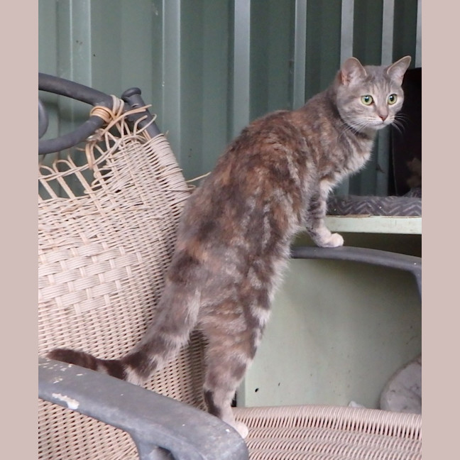 Photo of Fleur And Sky