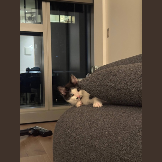 Photo of Felix