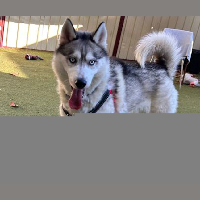 Photo of Rico