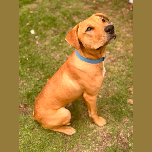 Photo of Cooper