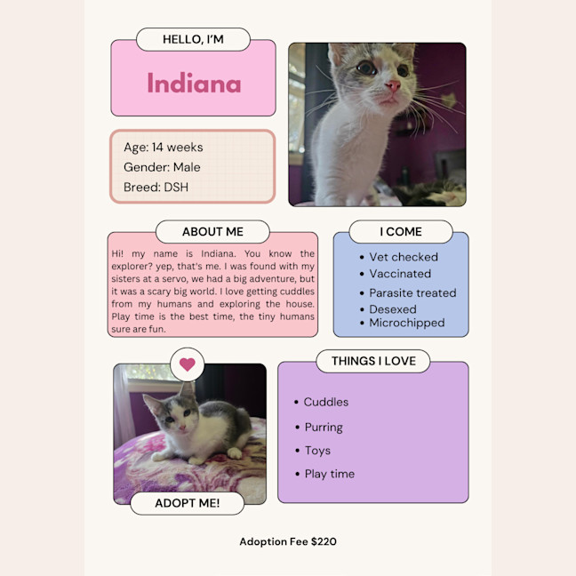 Photo of Indiana