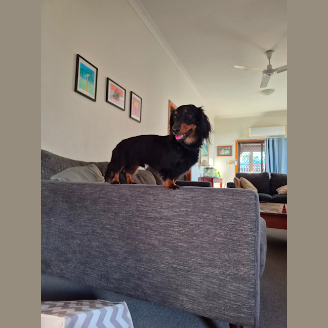 Photo of Winston 