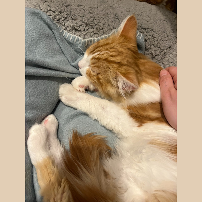 Photo of Leo