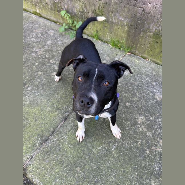 Photo of Roxy