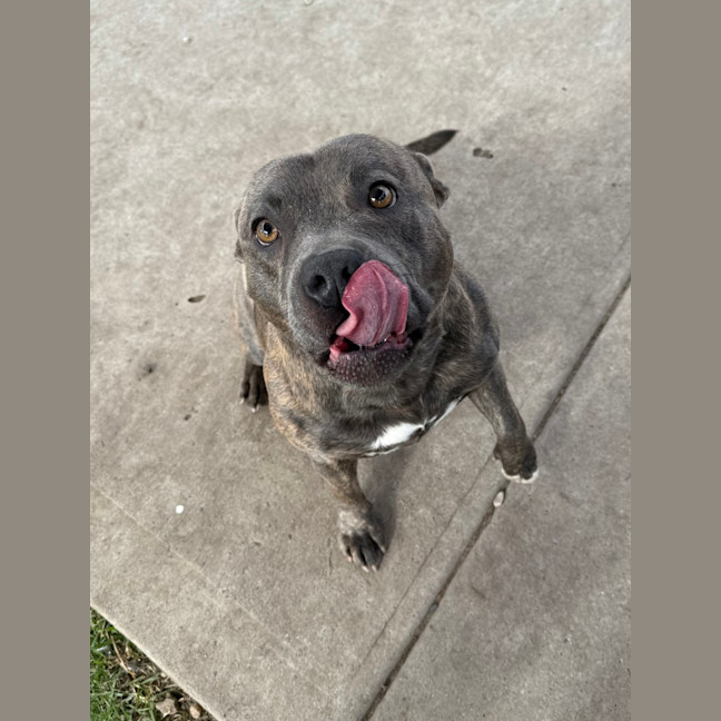 Photo of Zeus