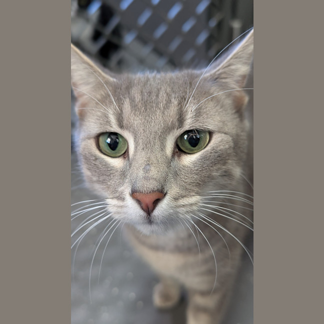 Photo of Athena