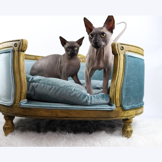 Photo of Mr Bobinsky