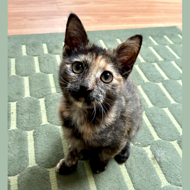 Photo of Gigi