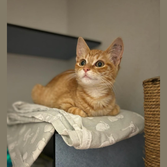 Photo of Benny
