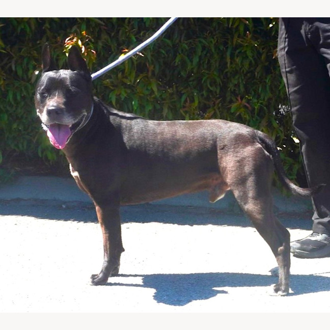 Photo of Turbo