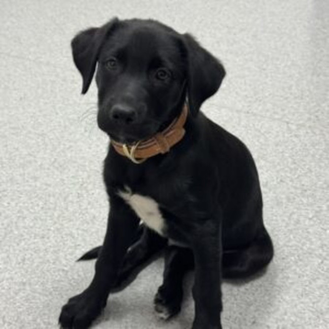 Photo of Bonnie