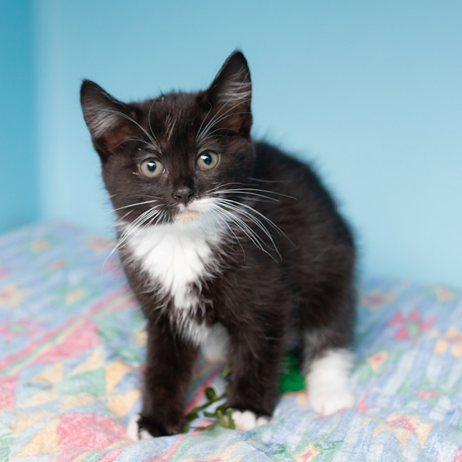 Photo of Princess Peach 