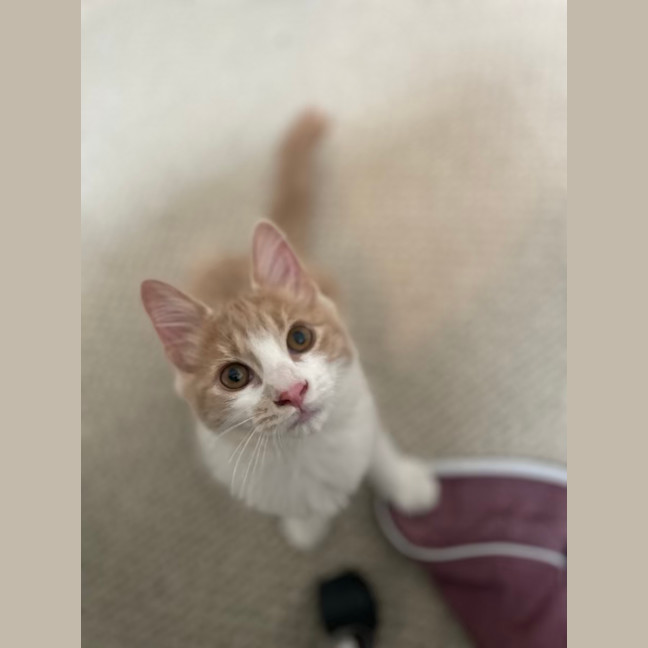 Photo of Momo
