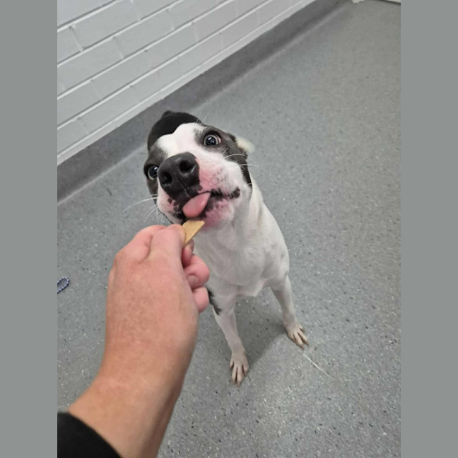 Photo of Zippy! 🪀