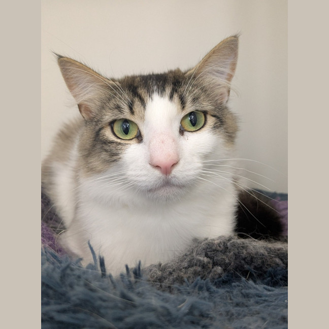 Photo of 🥥 Chester 5640 🥥