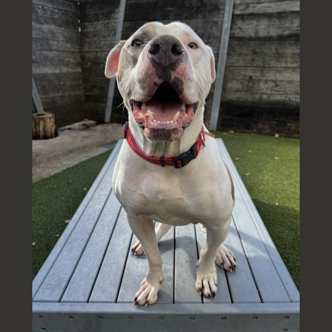 Photo of Zeus